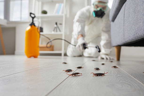Trusted Rodent Control service in Beverly Hills, MI - Nex Pest Control